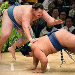 чемпионат Европы по сумо